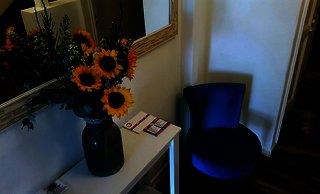 Hotel Boutique Tremo Bellas Artes