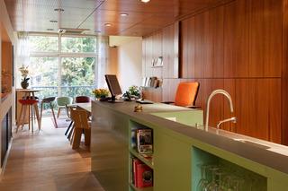 The Neighbour´s Magnolia