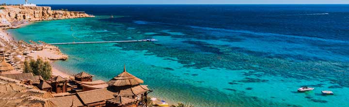 Blau machen am Roten Meer