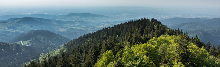 Hotel Bad Wiessee