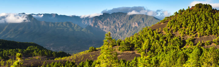 Angebote auf La Palma