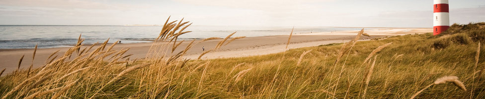 Strand Borkum