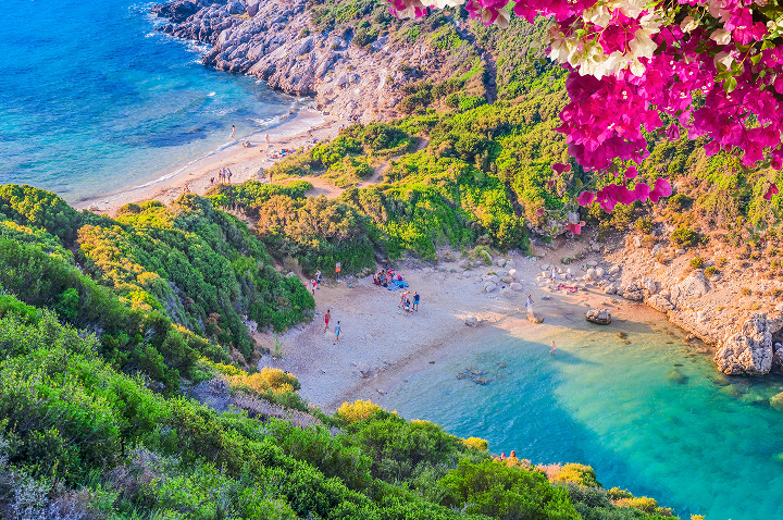 Traumhafter Strand mit Bougainvillea-Blüten, die das Wasser umspielen, auf der Insel Kos in Griechenland.